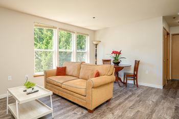 Bright, full windows